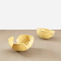 Hemisphere Leaves by Gabriel Orozco, 2003, polyurethane foam, in 2 parts, sold Jul 2023
