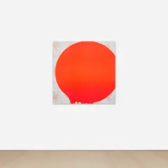 Carissa Rodriguez, The Beatrix 11, 2009, inkjet print on polyester