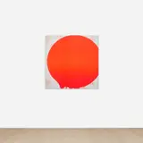 Carissa Rodriguez, The Beatrix 11, 2009, inkjet print on polyester
