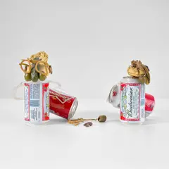 Tony Matelli, Double Pickled, 2008, aluminium cans, painted bronze and plastic