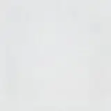 Heimo Zobernig, Untitled