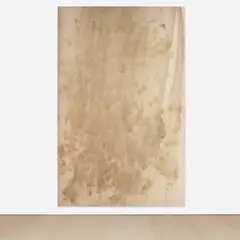 Zombies on Broadway by Dan Colen, 2010, dirt and grass on canvas, sold Jul 2023
