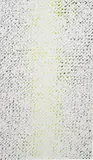 Cheyney Thompson, Chronochrome IV, 2009, oil on canvas