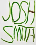 Josh Smith, Untitled (JSPO7413)