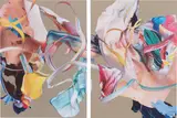 Matthew Stone, Quietly Standing in the Light, 2019, digital print on linen, diptych