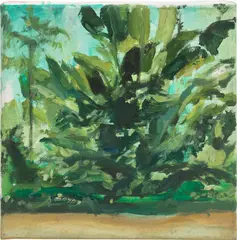 Sarah Cunningham, Banana Plant, 2020, oil on canvas