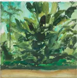 Sarah Cunningham, Banana Plant, 2020, oil on canvas