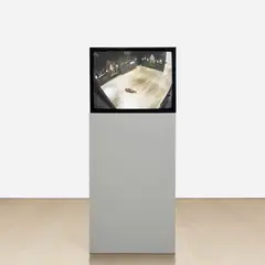 Francis Alÿs, The Nightwatch, 2004, screen, DVD player and DVD