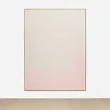 Ethan Cook, Untitled, 2016, handwoven cotton canvas, in artist's frame