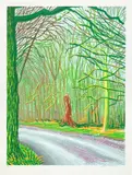 The Arrival of Spring in Woldgate, East Yorkshire in 2011 (twenty eleven) - 18 January by David Hockney, 2011, iPad drawing in colours, printed on wove paper, with full margins, sold Jan 2023