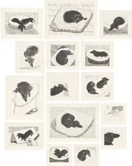David Hockney, Dog Wall, 1998, The complete set of 15 etchings, on Somerset paper, with full margins