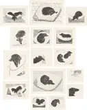 David Hockney, Dog Wall, 1998, The complete set of 15 etchings, on Somerset paper, with full margins