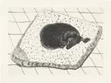David Hockney, Dog Etching No. 4, from Dog Wall, 1998, Etching, on Somerset paper, with full margins