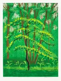 The Arrival of Spring in Woldgate, East Yorkshire in 2011 (twenty eleven) - 19 May by David Hockney, 2011, iPad drawing in colours, printed on wove paper, with full margins, sold Jan 2023