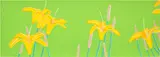 Alex Katz, Day Lilies (S. 274), 1993, Screenprint in colours, on white paperboard, the full sheet