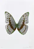 The Souls III - Silver Gloss/Chocolate/Leaf Green by Damien Hirst, 2010, Foil block print in colours, on Arches 88 archival paper, with full margins, sold Jan 2023