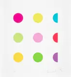 N-Methyl L-Aspartic Acid by Damien Hirst, 2011, Screenprint in colours, on Somerset paper, with full margins, sold Jan 2023