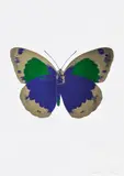 The Souls II - Westminster Blue/Cool Gold/Emerald Green by Damien Hirst, 2010, Foil block print in colours, on Arches 88 archival paper, with full margins, sold Jan 2023