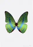 The Souls III - Leaf Green/Frost Blue/Burgundy by Damien Hirst, 2010, Foil block print in colours, on Arches 88 archival paper, with full margins, sold Jan 2023