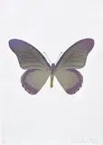 The Souls IV - Silver Gloss/Aquarius/Cool Gold by Damien Hirst, 2010, Foil block print in colours, on Arches 88 archival paper, with full margins, sold Jan 2023