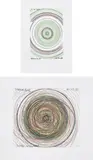 In a Spin, the Action of the World on Things, Volume I: two plates by Damien Hirst, 2002, Two etchings in colours (from the set of 23), on Hahnemühle paper, with full margins, sold Jan 2023