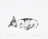 Raqib Shaw, Mr. C after Zurbaran, 2016, Etching, on Hahnemühle paper, with full margins