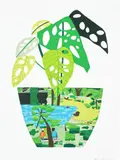 Jonas Wood, Landscape Pot with Plant, 2017, Screenprint in colours, on Somerset Satin Enhanced paper, with full margins