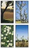 French Landscapes (C. 254-257) by Julian Opie, 2013, The complete set of four lenticular acrylic panels comprised of four inkjet prints in colours printed directly onto 40lp, sold Jun 2023