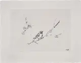 Tracey Emin, Sam and Jay's birds, 2004, Etching, on wove paper, with full margins