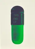 The Cure - Cream/Aubergine/Pea Green by Damien Hirst, 2014, Screenprint in colours, on Somerset paper, the full sheet, sold Jun 2023