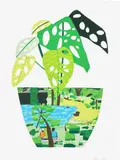 Jonas Wood, Landscape Pot with Plant, 2017, Screenprint in colours, on Somerset Satin paper, with full margins