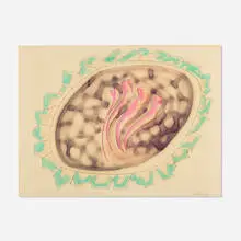 John Altoon, Untitled, 1966, ink, watercolor and oil pastel on illustration board