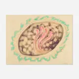 John Altoon, Untitled, 1966, ink, watercolor and oil pastel on illustration board