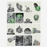 David Gilhooly, Collection of sixteen collages