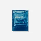 John Dugdale, Prize Lamb, Stone Ridge, NY