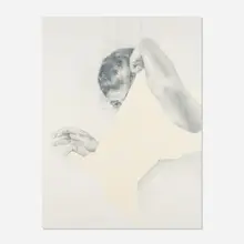 Anthony Goicolea, Untitled, 2016-18, ink, graphite, and oil paint on double-sided frosted Mylar film mounted to board