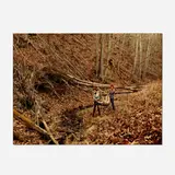 Justine Kurland, 12 Point Buck, 1999, C-print mounted to aluminum