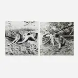 Hans Breder, Two works from Old Man's Creek, 1972, vintage gelatin silver print