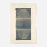 Robert Rauschenberg, The Razorback Bunch: Etching II, 1980, photo etching on Kitakata Chine-collé to Arches
