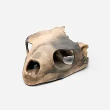 Michele Oka Doner, Tortoise Skull, c. 1978, pit-fired bisque terracotta