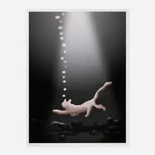 Untitled (Cat) by Urs Fischer, 2022, digital print on wove paper, sold Jul 2024