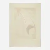 Tom Holland, Kuo