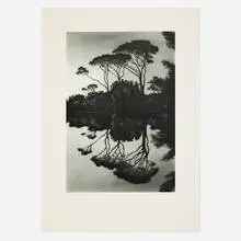 Mirrored Trees by April Gornik, 2000, etching and aquatint, sold Jul 2024