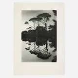 April Gornik, Mirrored Trees, 2000, etching and aquatint