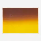 Pae White, Web Sampler 2000 (#7), 2000, spiderweb on perfect paper in artist's frame