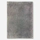 Jacob Kassay, Untitled, 2008, acrylic and silver deposit on canvas