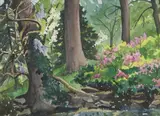 Margaret Graham Kranking, Flowering Woods, Watercolor
