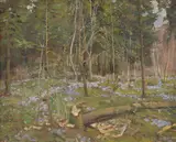 Stanislaw Zukowski, Forest in the Springtime, Oil on board