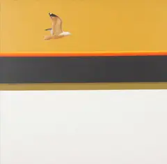 Dick McRill, Seagull, Oil on canvas