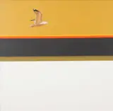 Dick McRill, Seagull, Oil on canvas